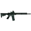 Alex Pro Firearms Econo Carbine .223/5.56 16" 30+1