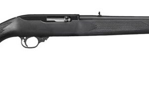 Ruger 10/22 Carbine .22 LR