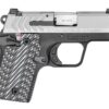 Springfield 911 .380 ACP 6rd 2.7" Pistol PG9109S